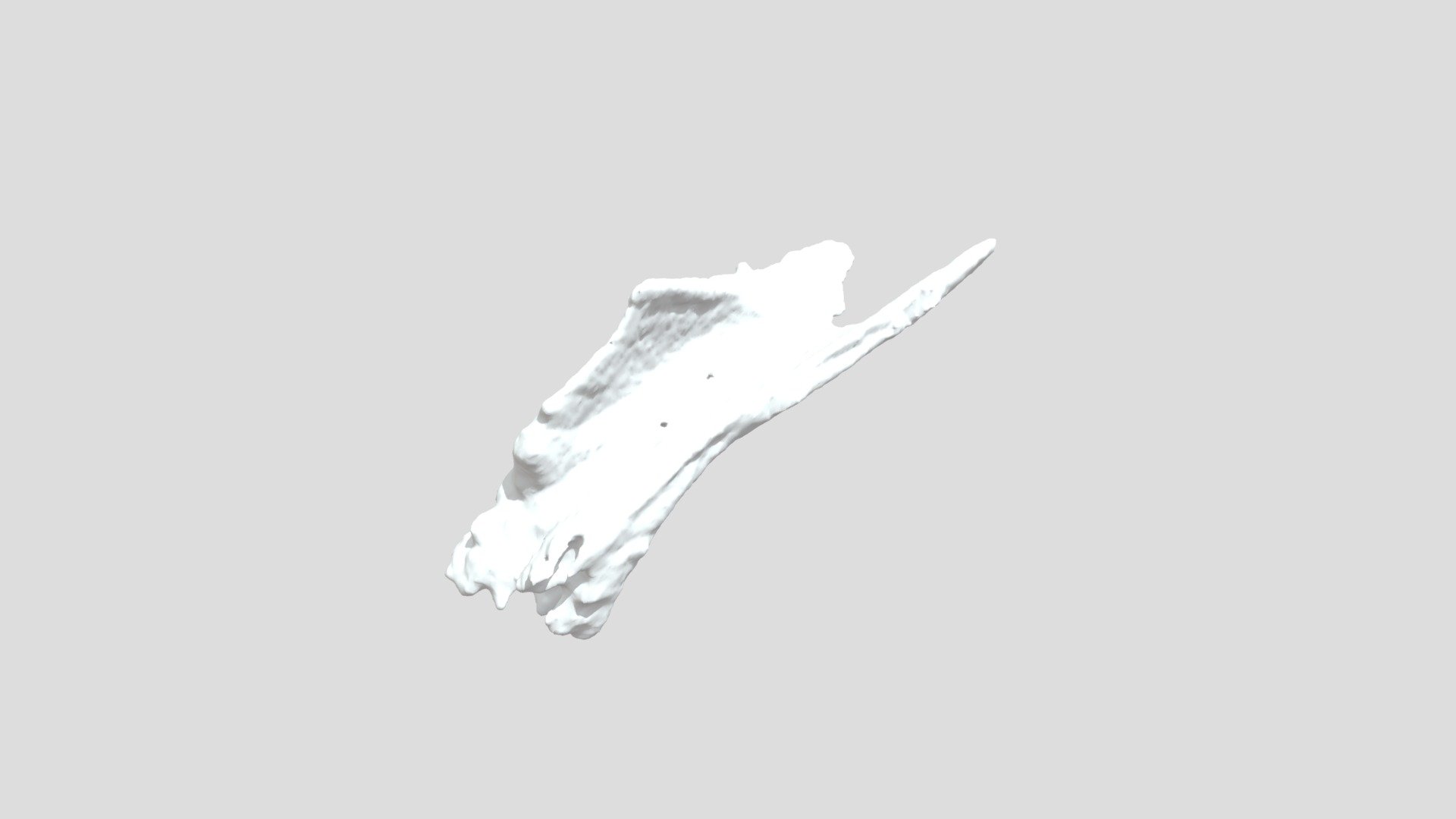 Nasal 3D model