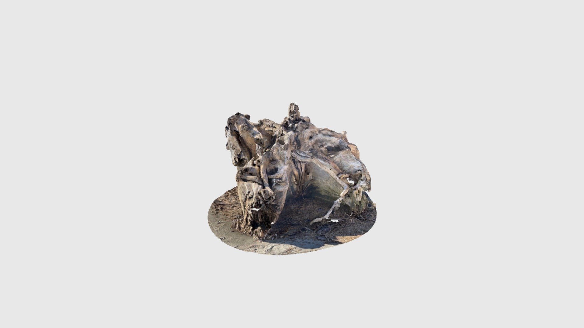 Driftwood