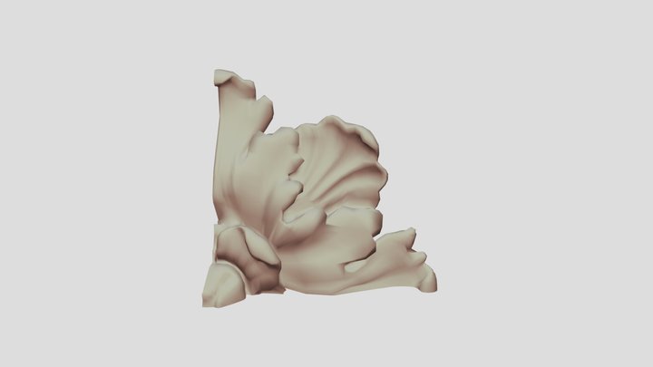 rosette lowres