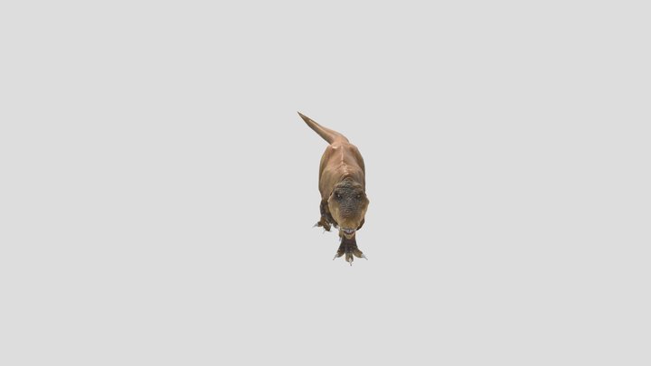 TRex - Organic Surfaces 3D Model