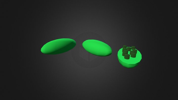 Chloroplasts 3D Model
