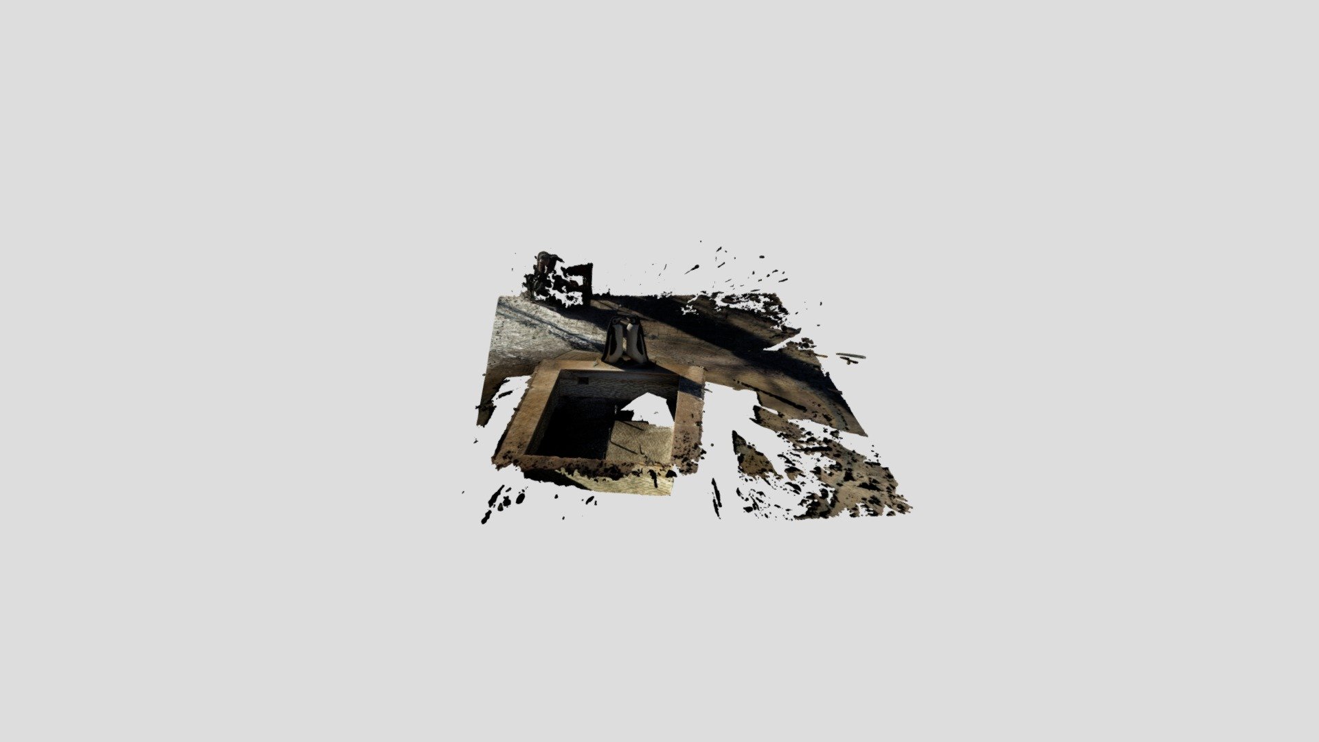 METASHAPE_PENGUINS_RAW