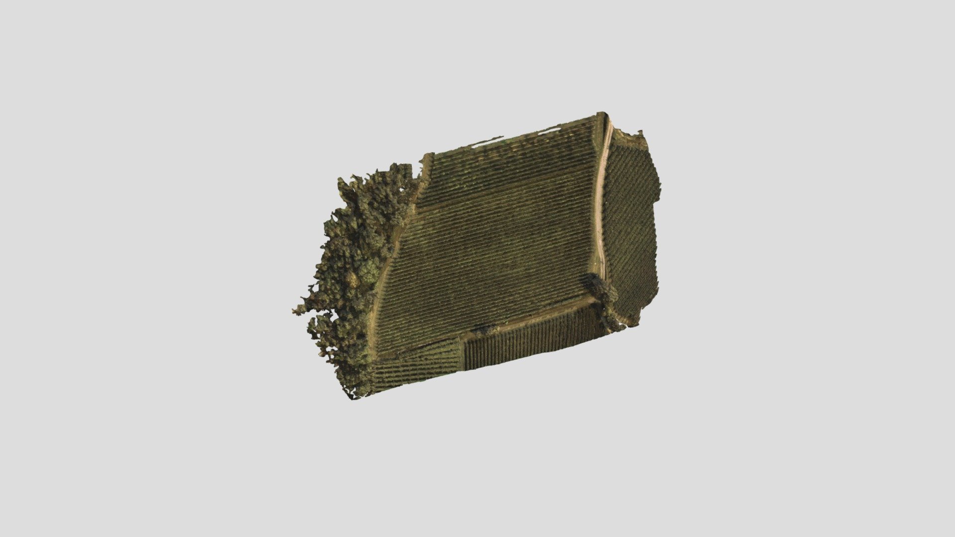sop_17082022_f1_inspire_simplified_3d_mesh