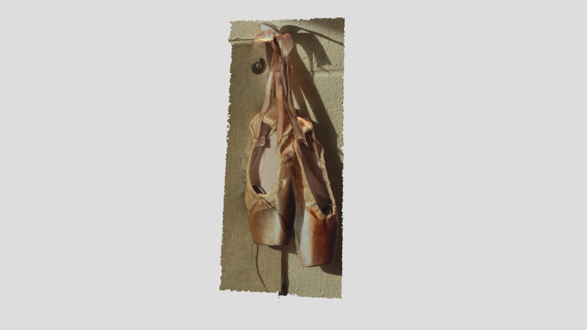 3D Pointe Shoes 🩰