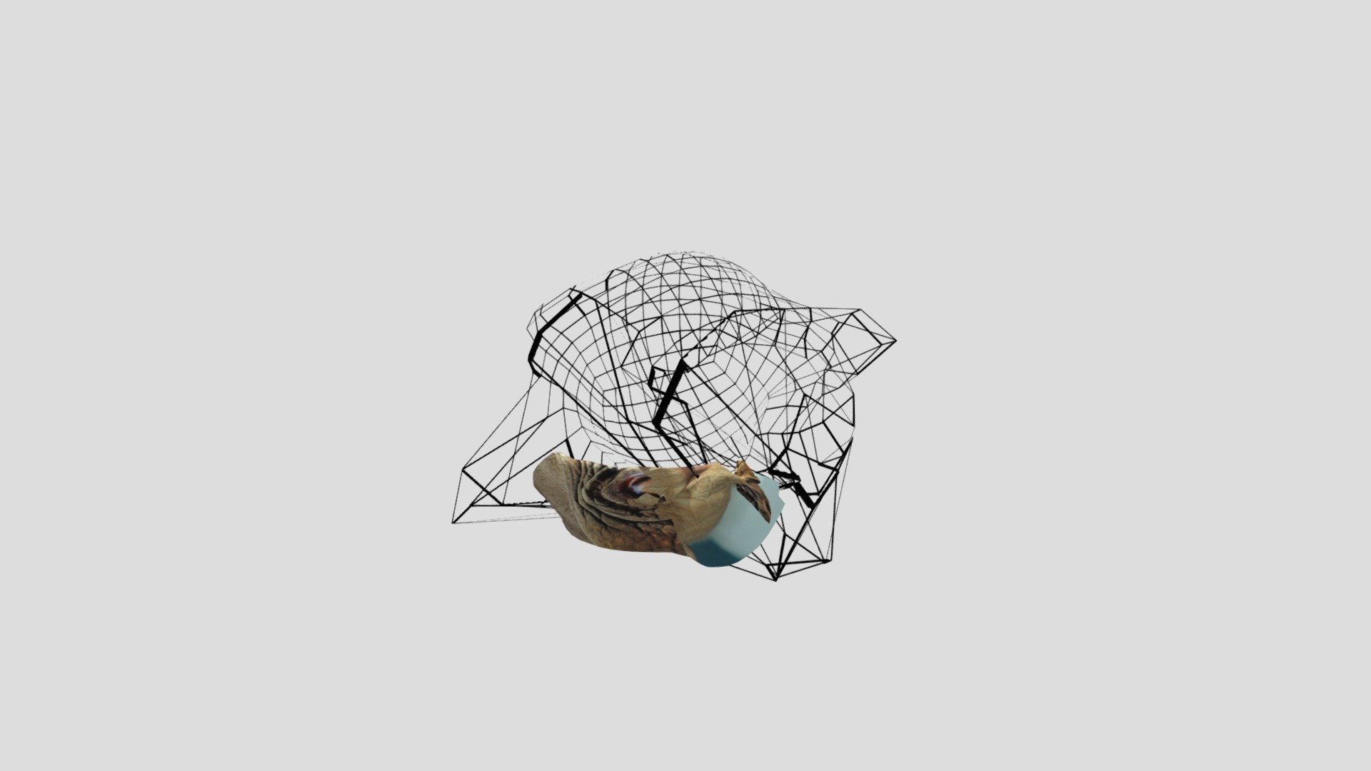 Sculpture20191115132827