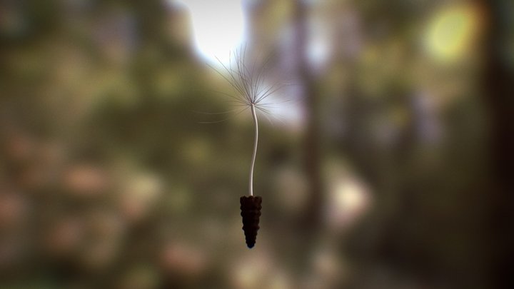 Dandelion Seed - Level 4 assistant brief 3D Model