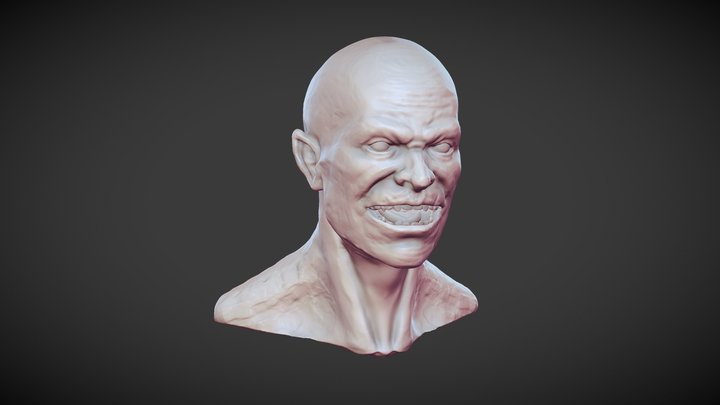 face 3D Model