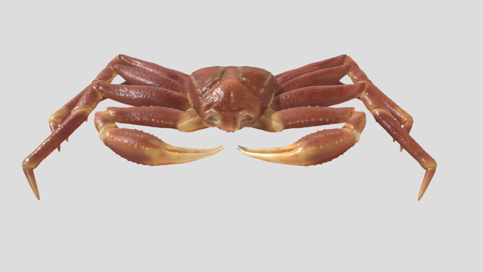 krab