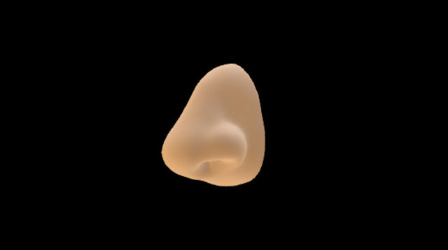 Nose Study 3D Model