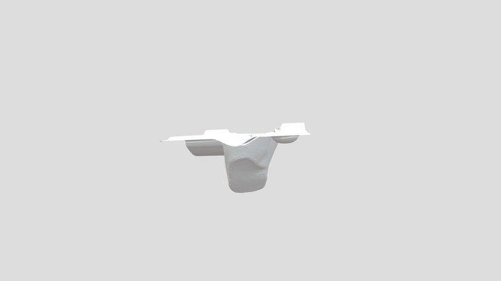 Foot mold
