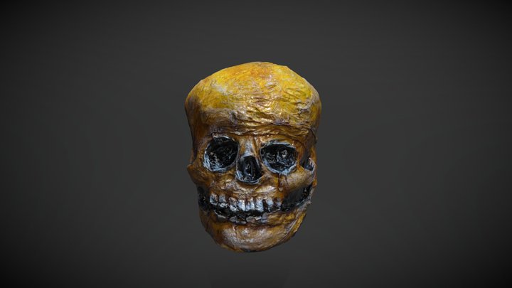 Big Skull Scan 2021 3D Model