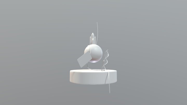Lily Light 3D Model