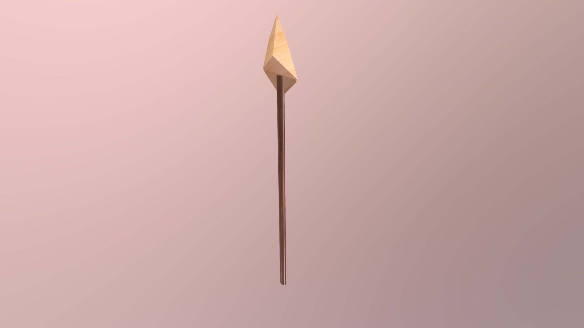 Wooden Spear