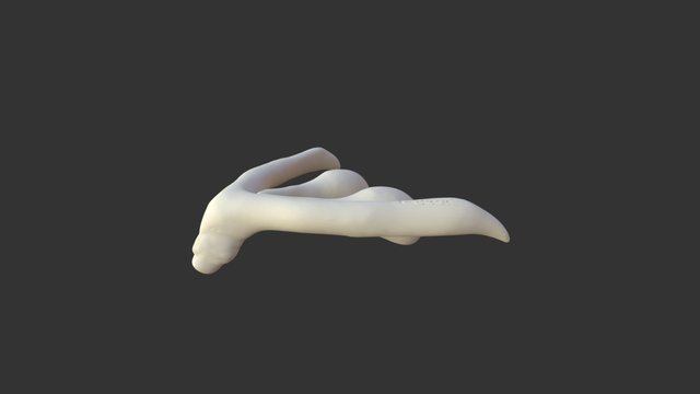 Clitoris 3D Model