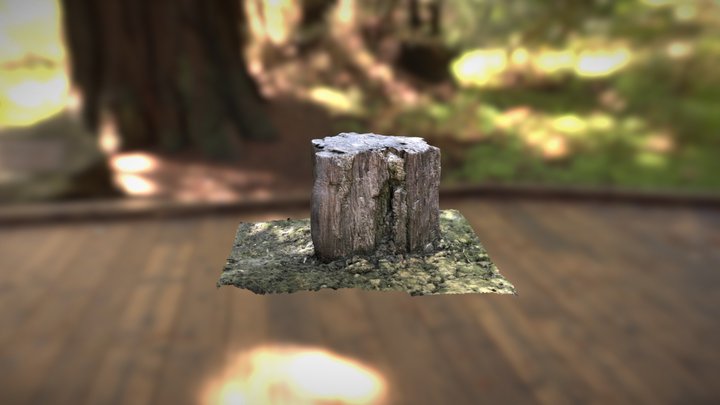 garden rock 3D Model