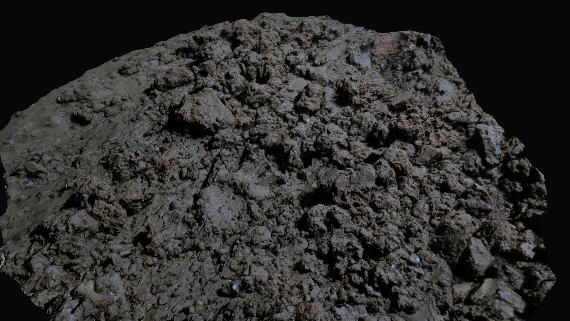 Cave 2018-12 Bear Footprint