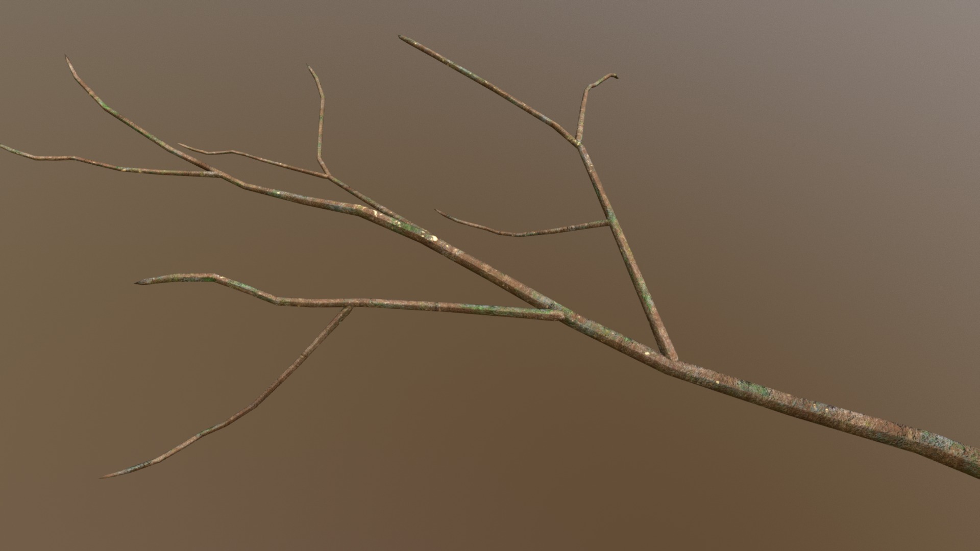 3D model Bare Branch - This is a 3D model of the Bare Branch. The 3D model is about a close-up of a tree branch.