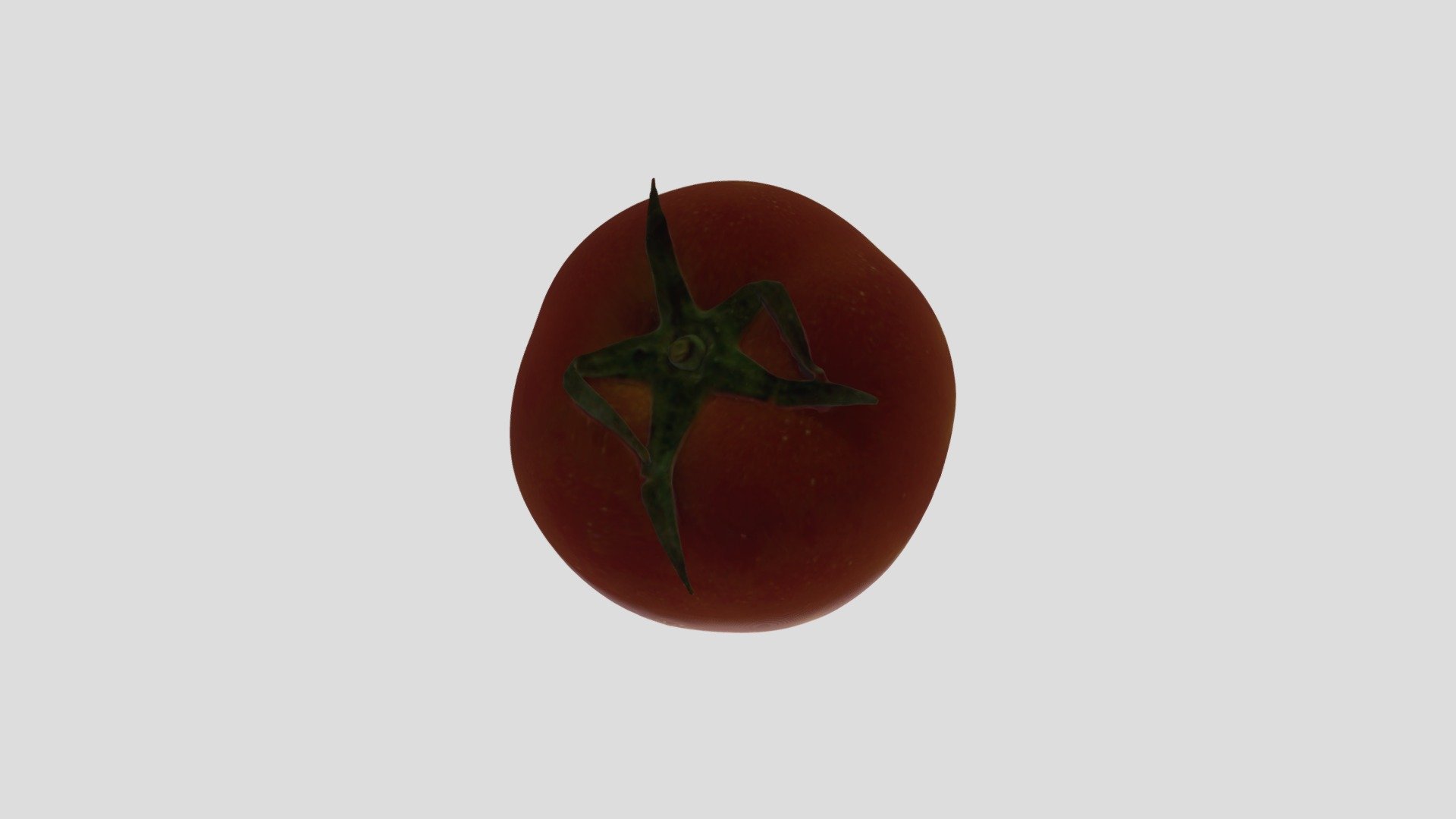 Tomato