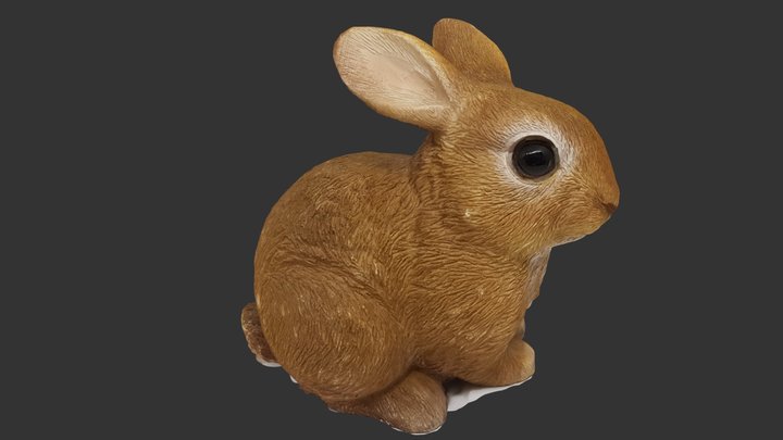 Netherland Dwarf Rabbit 3D Model