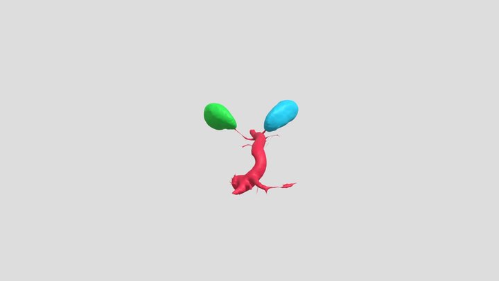 CTCardio 3D Model