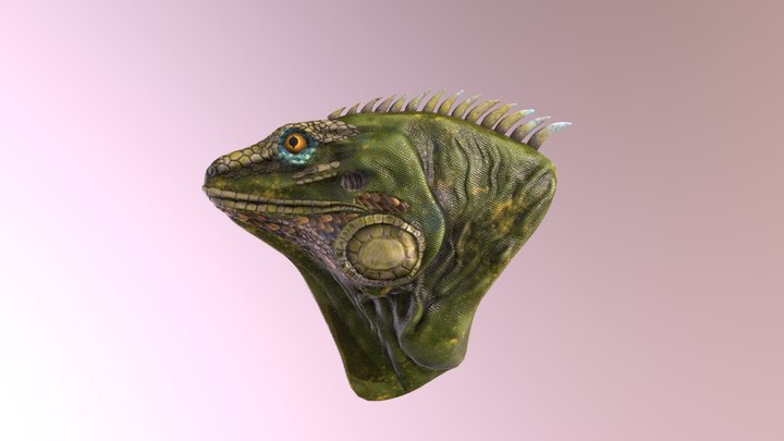 Lizard_00 3D Model