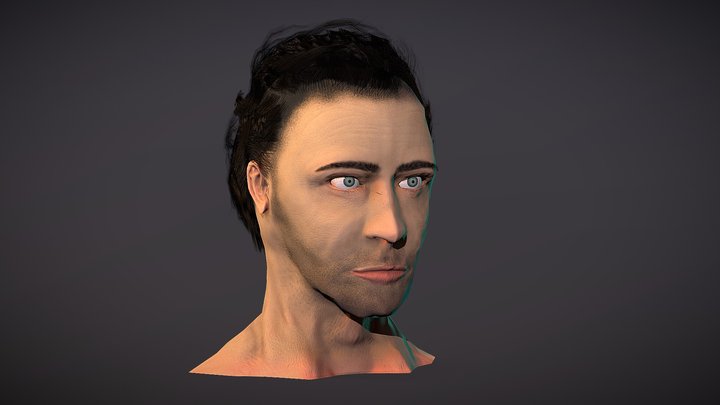 PolygonalHairs 3D Model