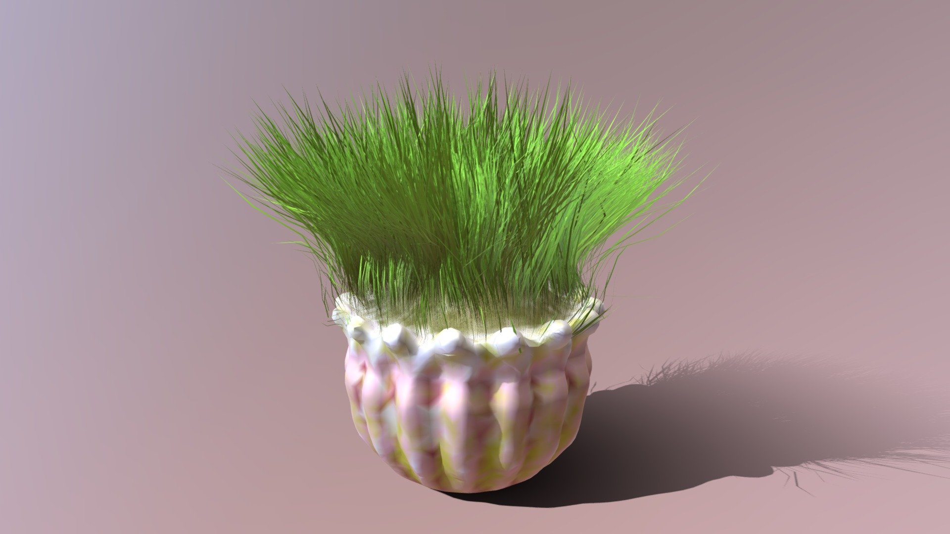 Grass