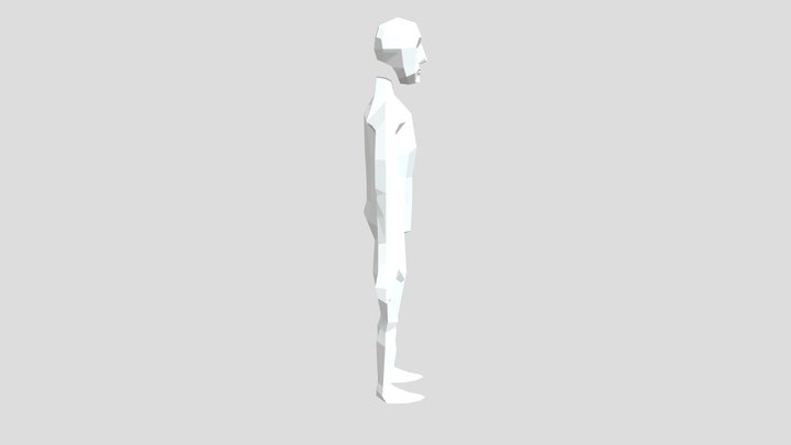 Body and Head 3D Model