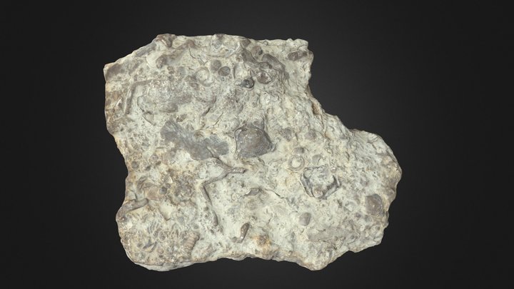 1979_681_53 3D Model