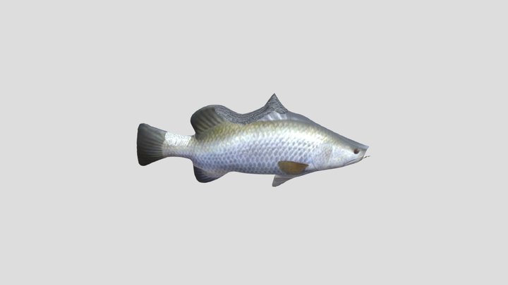 Ikan 3D Model