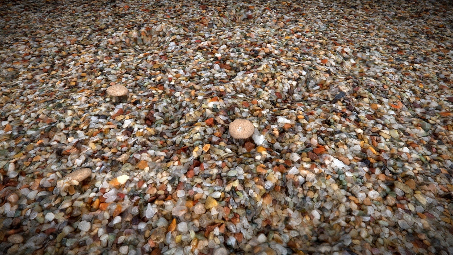 Stream sand (Euphrates, Turkey) (close-up)