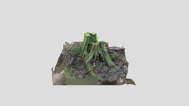 29/04/24 2:36 pm test 3D Model
