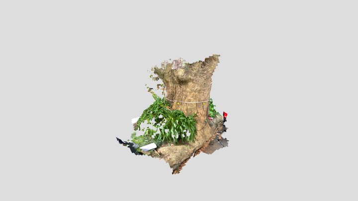MC_HOLT 2 3D Model