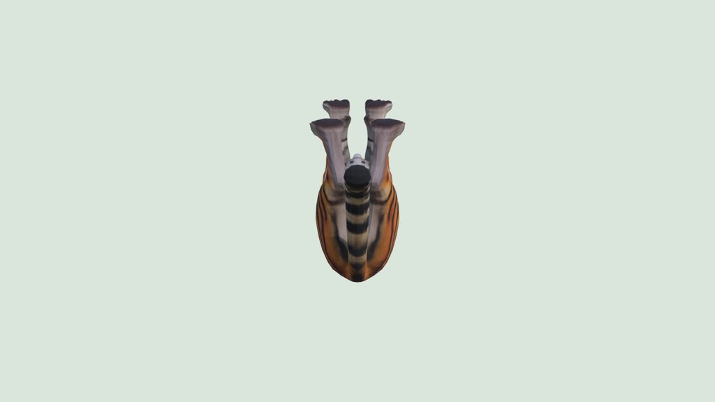 Bangel Tiger