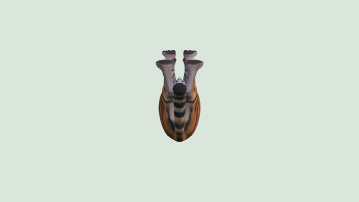 Bangel Tiger 3D Model