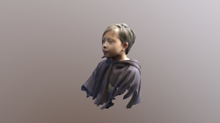 Irmaold 3D Model