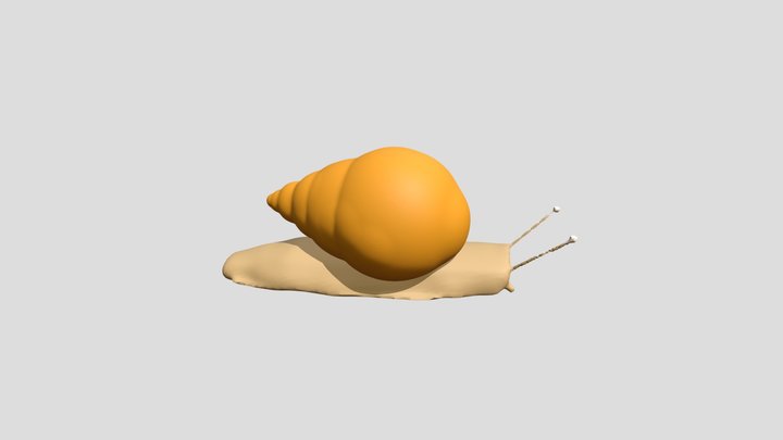 Snail Model 3D Model