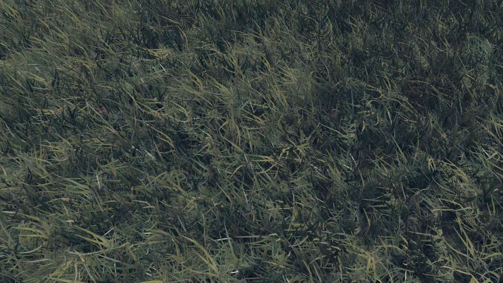 Realtime Grass