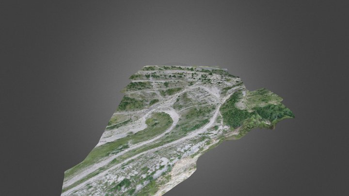 Part of Carry 3D reconstruction UAV images 3D Model