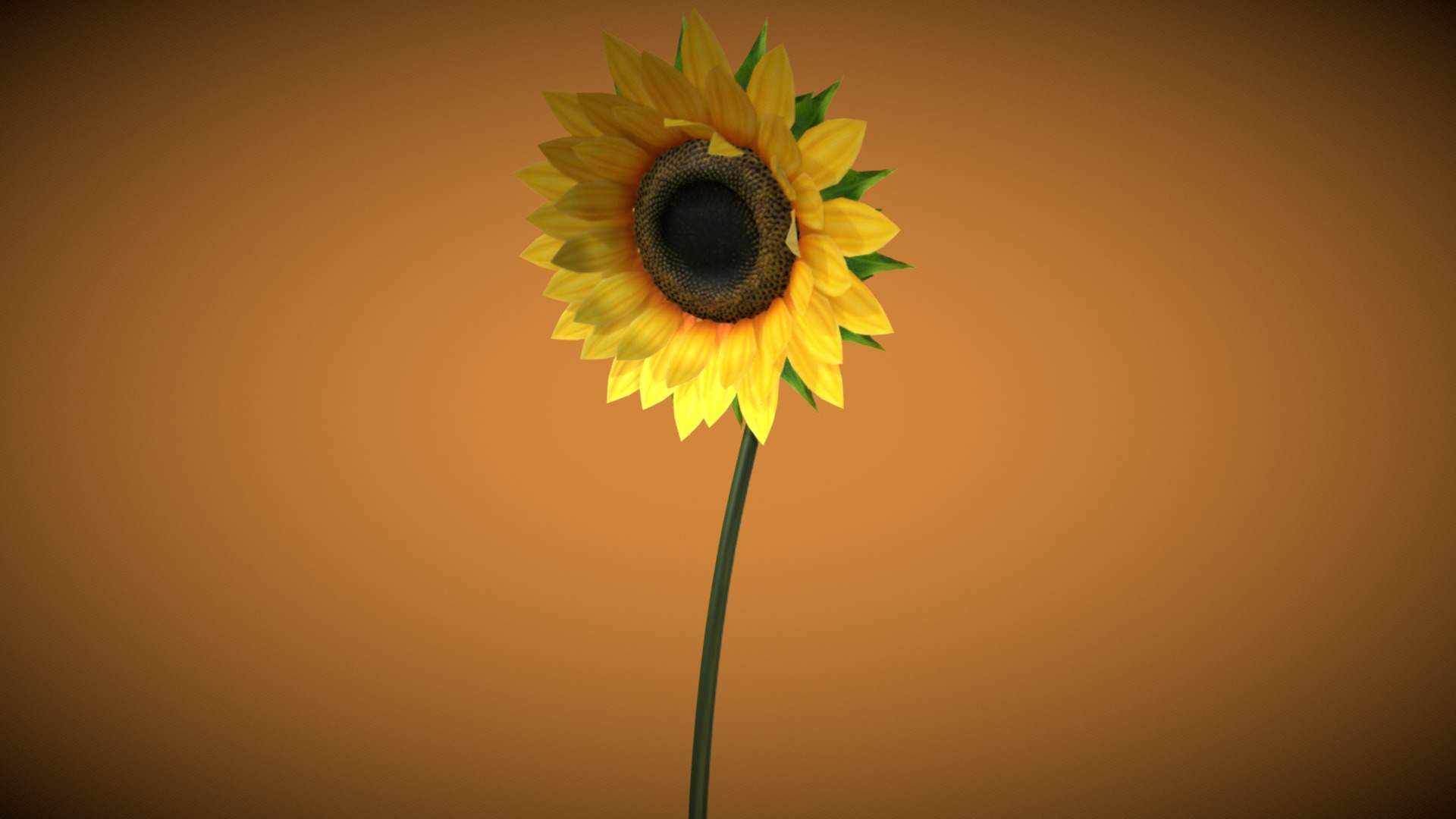 3D model Sunflower - This is a 3D model of the Sunflower. The 3D model is about a yellow sunflower with a green stem.