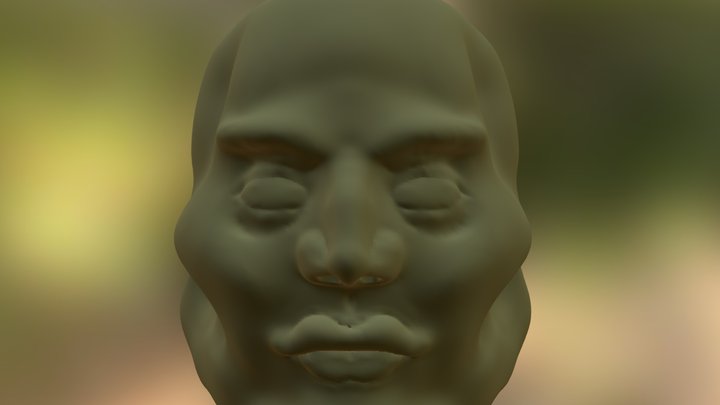 Overly Handsome Face 3D Model