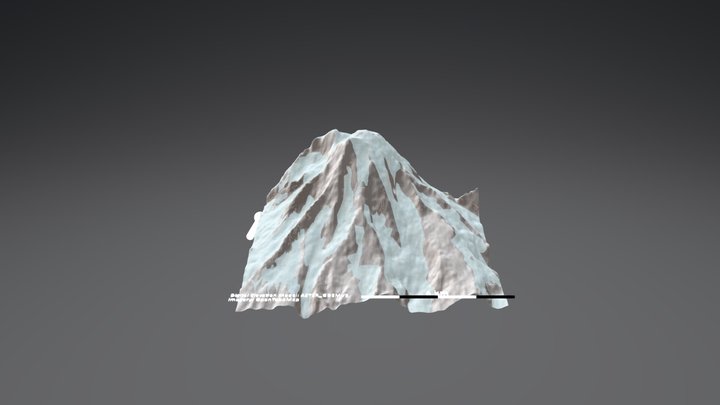 mount rainier topographic map 3D Model