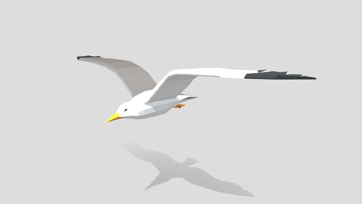 Flying Seagull 3D Model