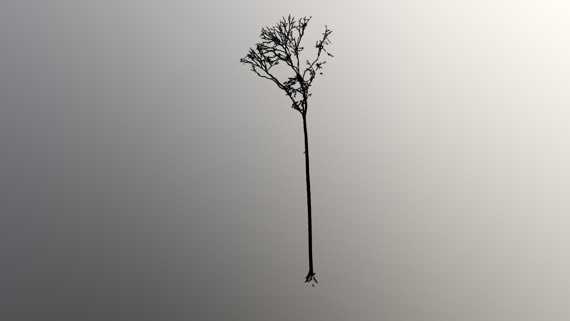 tree_67.las
