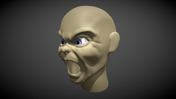 24_anger 3D Model