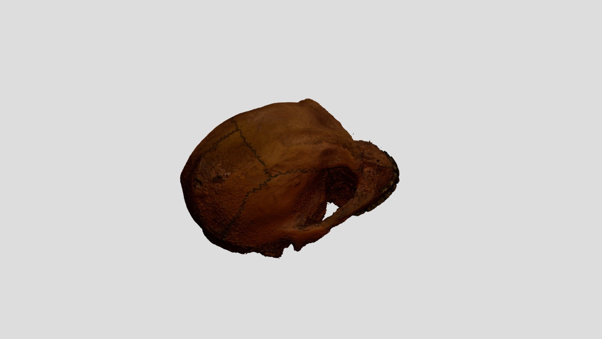 Skull B - Download Free 3D Model By Mnaglak [07e3ea6] - Sketchfab