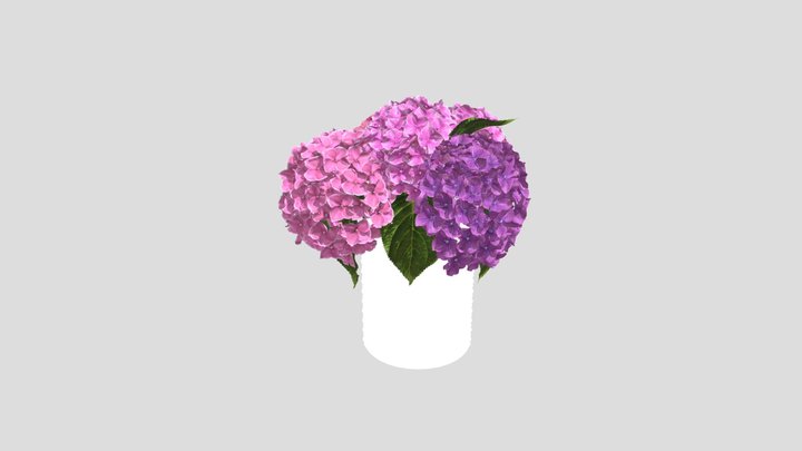 Hydrangea Bouquet – Modelo 3D gratuito STL