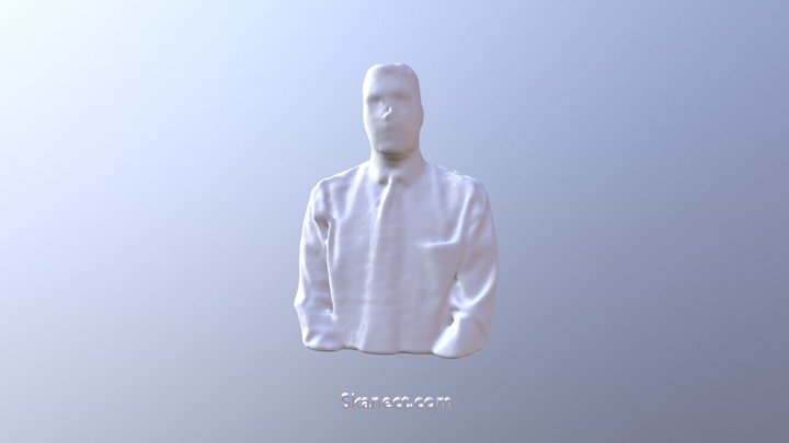 Moran Scan 3D Model