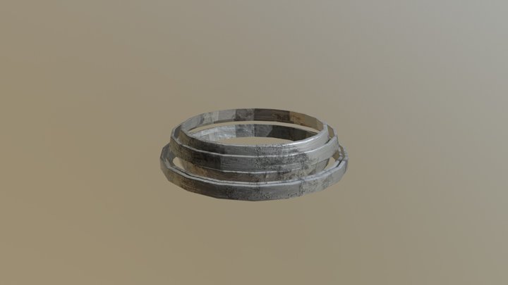 Spare Barrel Rings 3D Model