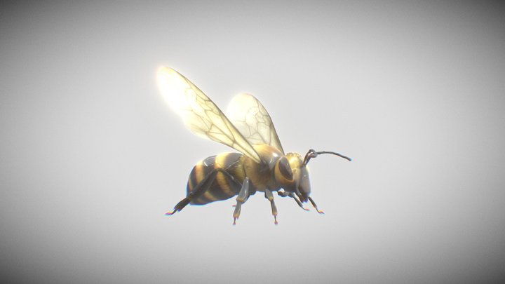 BOB3D 3D Model